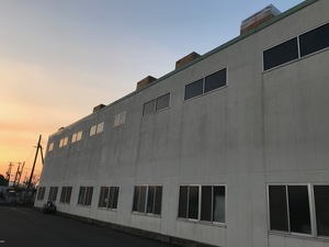 IMG_7528.jpg